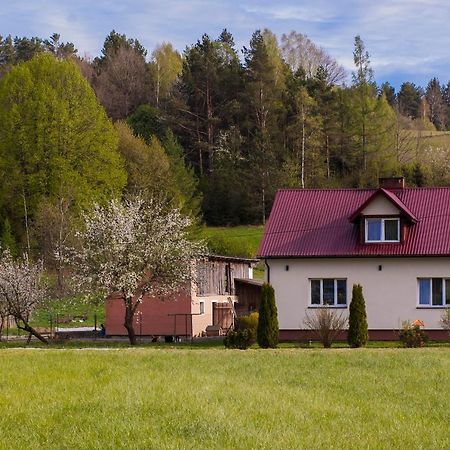 U Jadzi Pogorze Przemyskie Bircza Exterior photo