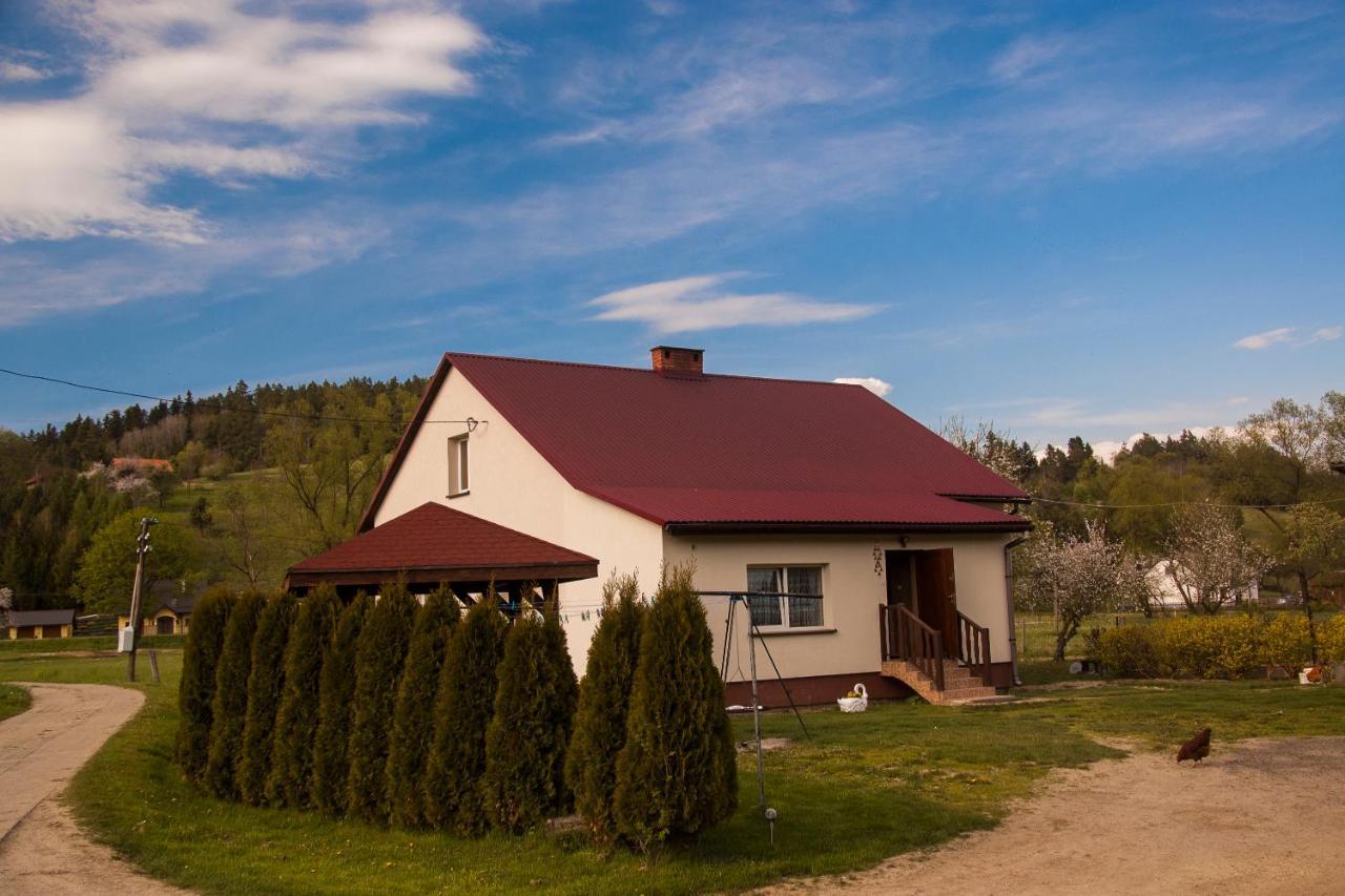 U Jadzi Pogorze Przemyskie Bircza Exterior photo